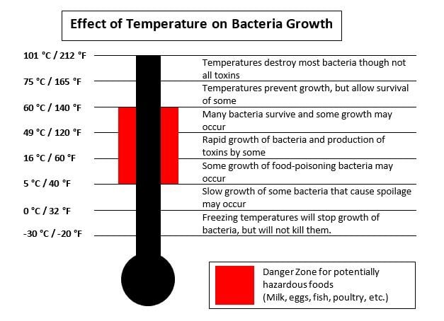 Effect of Temperature on Bacteria Growth